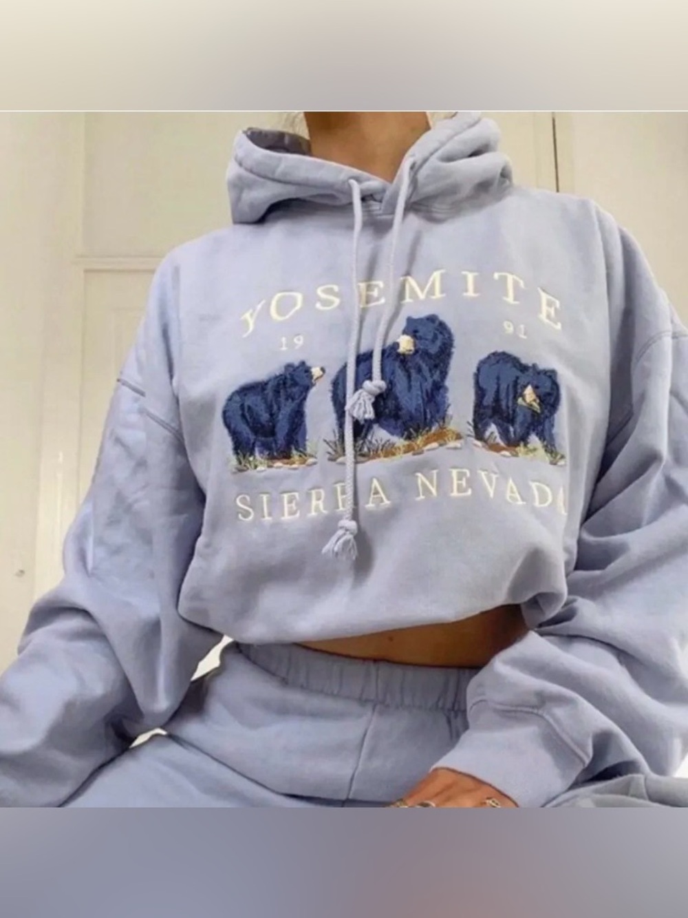 Brandy Melville Yosemite Sierra Nevada Light Blue Hoodie with Bear Embroidery